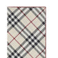 Silk Scarf