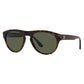 Brown Acetate Sunglasses