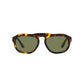 Brown Acetate Sunglasses