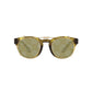 Brown Acetate Sunglasses
