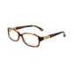 Brown Plastic Glasses (Frames)
