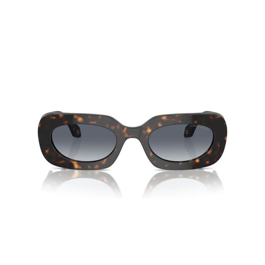 Brown Acetate Sunglasses