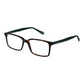 Brown Plastic Glasses (Frames)