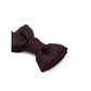 Brown Silk Bowtie