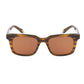 Brown Acetate Sunglasses