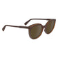 Brown Acetate Sunglasses