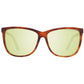 Brown Acetate Sunglasses