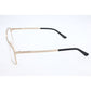 Gold Titanium Glasses (Frames)