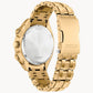 Gold Stainless Steel Sport Watch