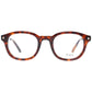 Brown Plastic Glasses (Frames)