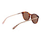 Brown Acetate Sunglasses